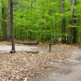 Review photo of White Lake State Park Campground by Jean C., June 10, 2019