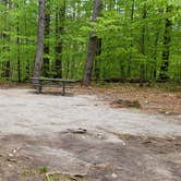 Review photo of White Lake State Park Campground by Jean C., June 10, 2019