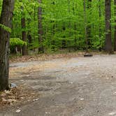 Review photo of White Lake State Park Campground by Jean C., June 10, 2019