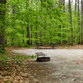 Review photo of White Lake State Park Campground by Jean C., June 10, 2019