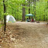 Review photo of White Lake State Park Campground by Jean C., June 10, 2019