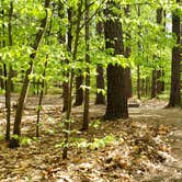 Review photo of White Lake State Park Campground by Jean C., June 10, 2019