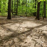 Review photo of White Lake State Park Campground by Jean C., June 10, 2019