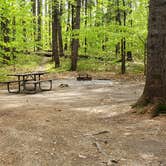 Review photo of White Lake State Park Campground by Jean C., June 10, 2019