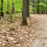 Review photo of White Lake State Park Campground by Jean C., June 10, 2019