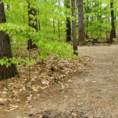 Review photo of White Lake State Park Campground by Jean C., June 10, 2019