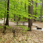 Review photo of White Lake State Park Campground by Jean C., June 10, 2019