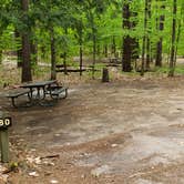 Review photo of White Lake State Park Campground by Jean C., June 10, 2019