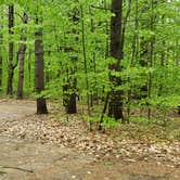 Review photo of White Lake State Park Campground by Jean C., June 10, 2019