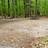 Review photo of White Lake State Park Campground by Jean C., June 10, 2019