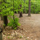 Review photo of White Lake State Park Campground by Jean C., June 10, 2019