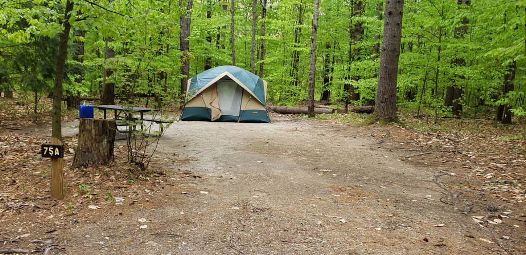 Jean C.'s photo at White Lake State Park Campground near Center Sandwich, NH