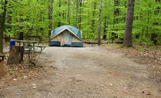 Jean C.'s photo at White Lake State Park Campground near Center Sandwich, NH