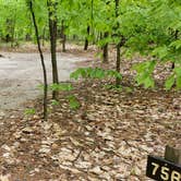 Review photo of White Lake State Park Campground by Jean C., June 10, 2019