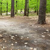 Review photo of White Lake State Park Campground by Jean C., June 10, 2019