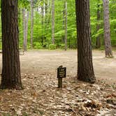 Review photo of White Lake State Park Campground by Jean C., June 10, 2019