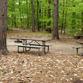 Review photo of White Lake State Park Campground by Jean C., June 10, 2019