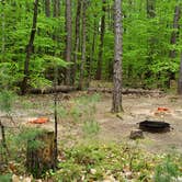 Review photo of White Lake State Park Campground by Jean C., June 10, 2019