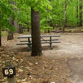 Review photo of White Lake State Park Campground by Jean C., June 10, 2019