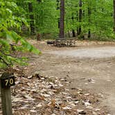 Review photo of White Lake State Park Campground by Jean C., June 10, 2019