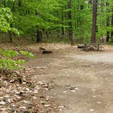 Review photo of White Lake State Park Campground by Jean C., June 10, 2019