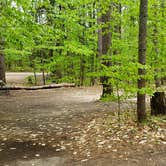 Review photo of White Lake State Park Campground by Jean C., June 10, 2019