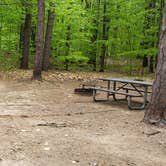 Review photo of White Lake State Park Campground by Jean C., June 10, 2019