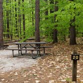 Review photo of White Lake State Park Campground by Jean C., June 10, 2019