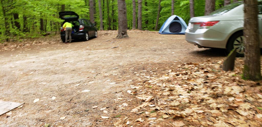 Jean C.'s photo at White Lake State Park Campground near Tuftonboro, NH