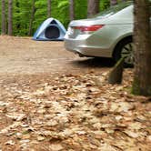 Review photo of White Lake State Park Campground by Jean C., June 10, 2019