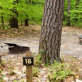 Review photo of White Lake State Park Campground by Jean C., June 10, 2019