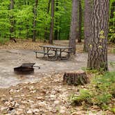 Review photo of White Lake State Park Campground by Jean C., June 10, 2019