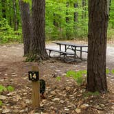 Review photo of White Lake State Park Campground by Jean C., June 10, 2019