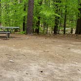 Review photo of White Lake State Park Campground by Jean C., June 10, 2019