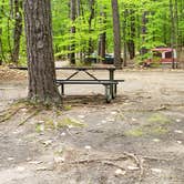 Review photo of White Lake State Park Campground by Jean C., June 10, 2019