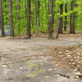 Review photo of White Lake State Park Campground by Jean C., June 10, 2019