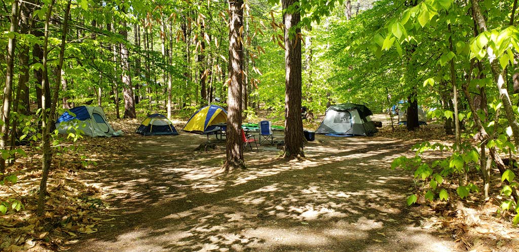 Jean C.'s photo at White Lake State Park Campground near Hales Location, NH