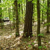 Review photo of White Lake State Park Campground by Jean C., June 10, 2019