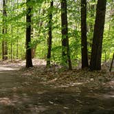 Review photo of White Lake State Park Campground by Jean C., June 10, 2019