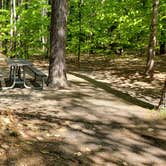 Review photo of White Lake State Park Campground by Jean C., June 10, 2019