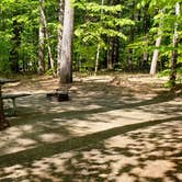 Review photo of White Lake State Park Campground by Jean C., June 10, 2019