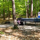 Review photo of White Lake State Park Campground by Jean C., June 10, 2019