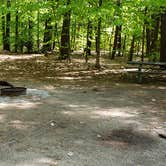 Review photo of White Lake State Park Campground by Jean C., June 10, 2019