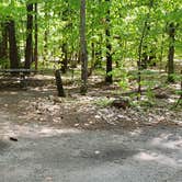 Review photo of White Lake State Park Campground by Jean C., June 10, 2019