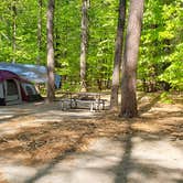 Review photo of White Lake State Park Campground by Jean C., June 10, 2019