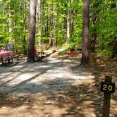 Review photo of White Lake State Park Campground by Jean C., June 10, 2019