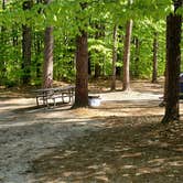 Review photo of White Lake State Park Campground by Jean C., June 10, 2019