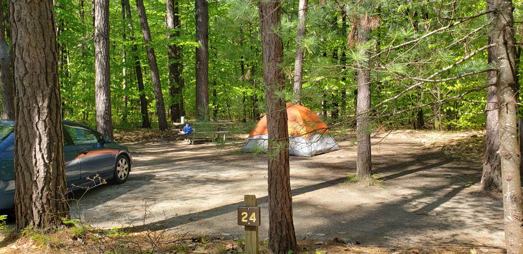 Jean C.'s photo at White Lake State Park Campground near Madison, NH