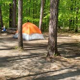 Review photo of White Lake State Park Campground by Jean C., June 10, 2019