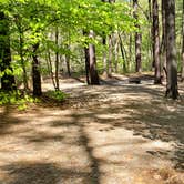 Review photo of White Lake State Park Campground by Jean C., June 10, 2019